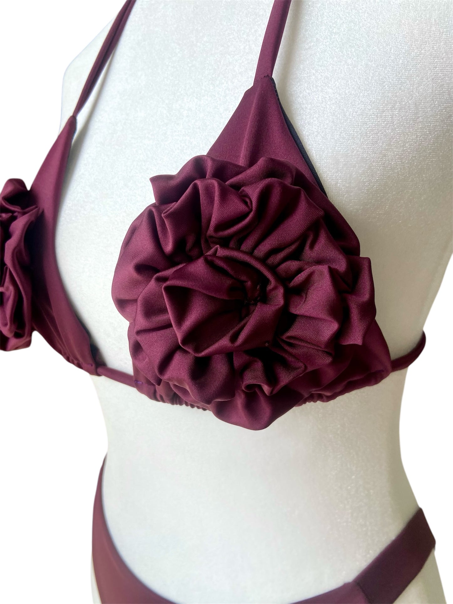 Wine Rose